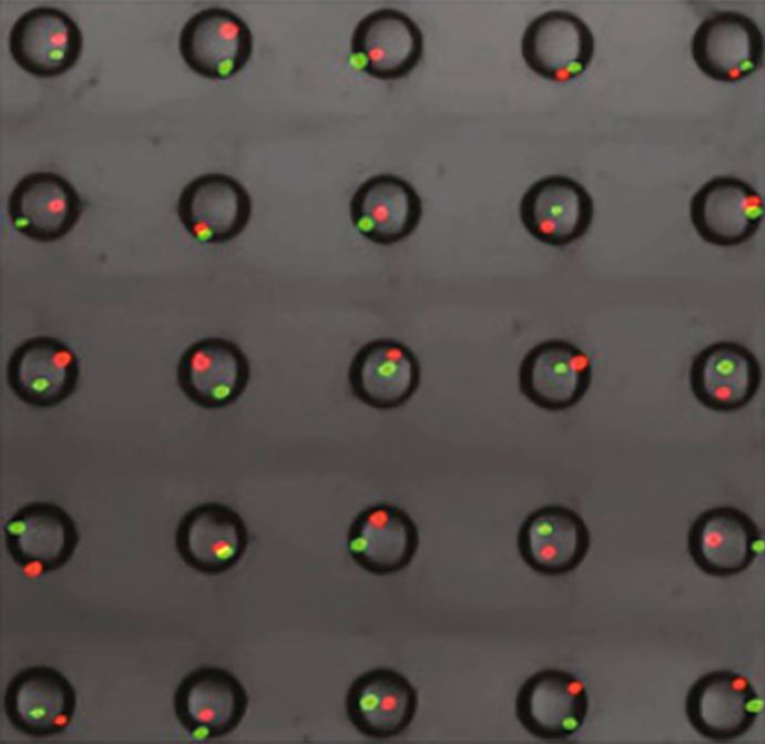 Publications · The Gartner Lab · UCSF