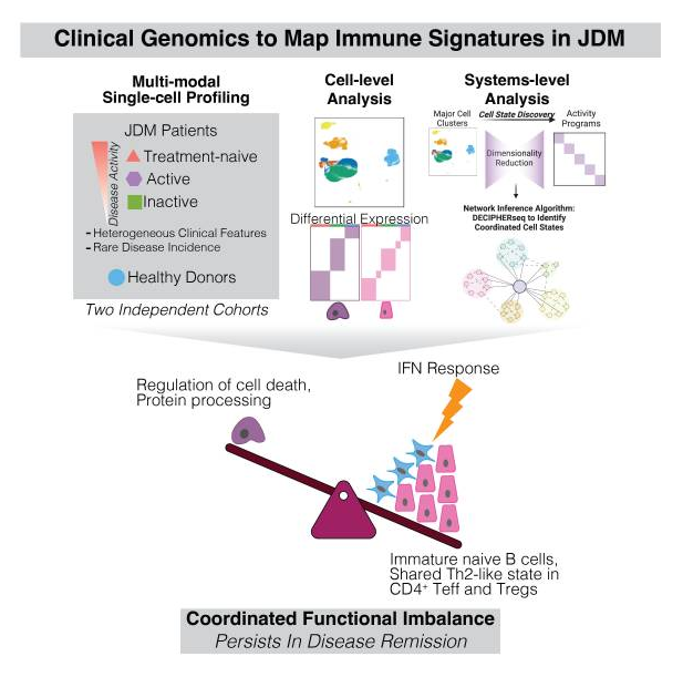 Publication figure for Coordinated immune dysregulation in juvenile dermatomyositis revealed by single-cell genomics