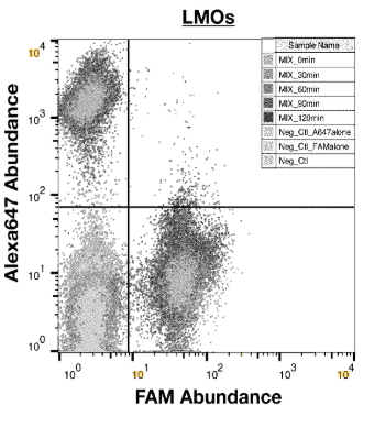 Publication figure for Lipid-modified oligonucleotides and methods of using the same