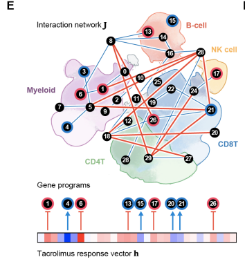 Publication figure for Therapeutic algebra of immunomodulatory drug responses at single-cell resolution
