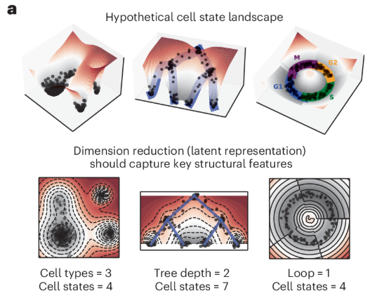 Publication figure for Machine learning framework reveals a concordant cell-state landscape across single-cell datasets