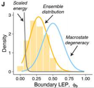 Publication figure for PIK3CA-induces biophysical changes in the mammary epithelium that disrupt tissue architecture by altering homeostatic programs of self-organization.