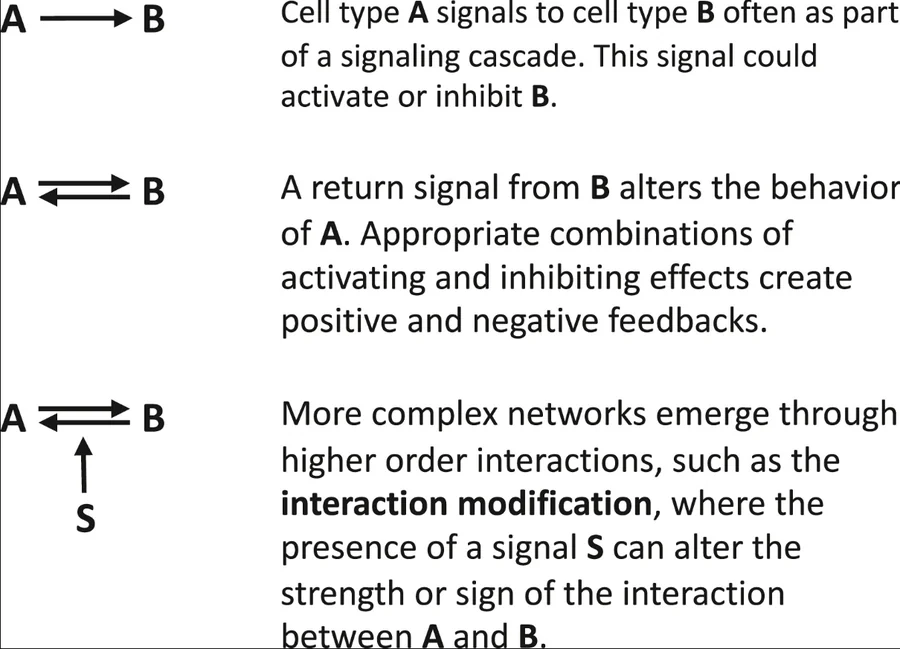 Publication figure for Modeling collective cell behavior in cancer: Perspectives from an interdisciplinary conversation
