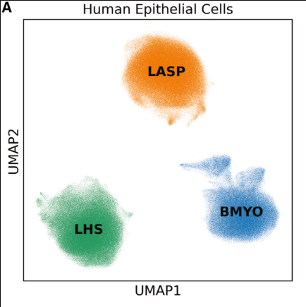 Publication figure for Defining breast epithelial cell types in the single-cell era