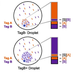 Publication figure for deMULTIplex2: robust sample demultiplexing for scRNA-seq