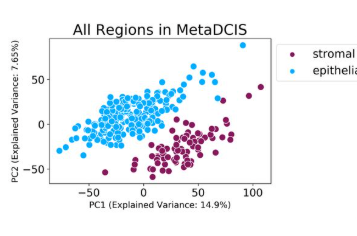Publication figure for Differential Analysis of Stromal-Epithelial Interactions between In Situ and Invasive Breast Cancer using Gene Expression Profiling